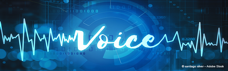 biometrics voice recognition